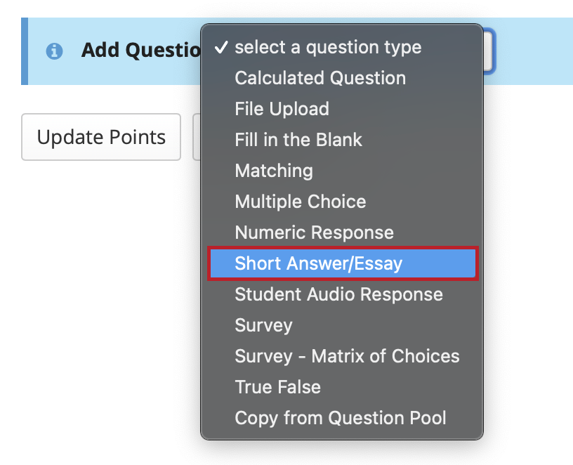 Select Short Answer/Essay from drop-down menu.